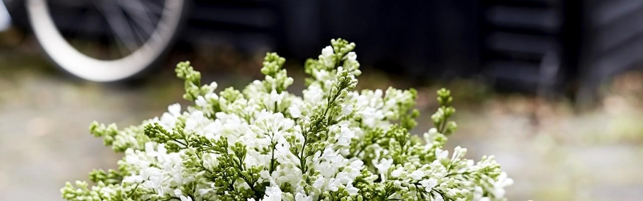 Personlige Interflora historier